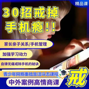 戒瘾网瘾视频教程全套管理技巧亲子关系学习动力在线课程-淘宝虚拟仓