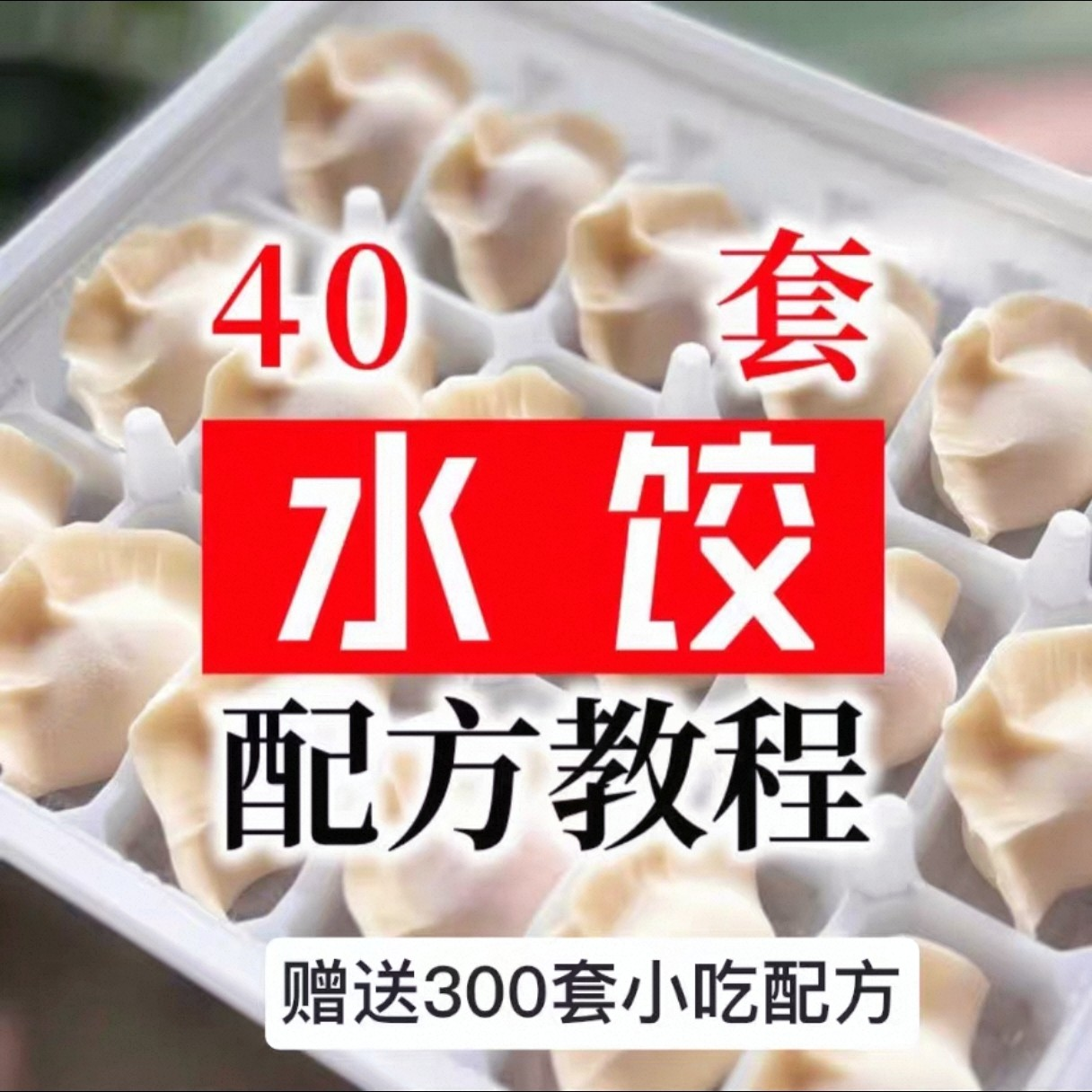 【0.01秒发】40套水饺技术配方 特制技术视频教程-淘宝虚拟仓