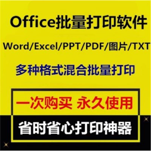 Office批量打印软件工具 Word/Excel/PPT/图片/PDF批量打印软件-淘宝虚拟仓
