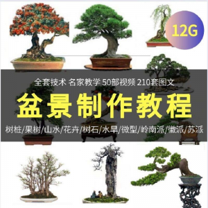 盆景制作技术视频教程工艺教学果树桩山水微型造型全套-淘宝虚拟仓