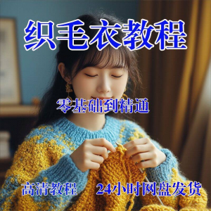 手工织毛衣视频零基础传统棒针钩针毛线编织婴儿童全套-淘宝虚拟仓