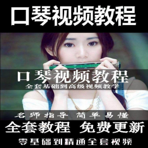口琴自学教程视频零基础初学者入门到专业十孔24孔教学-淘宝虚拟仓