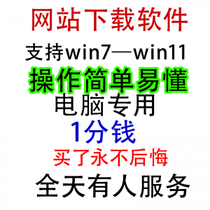 扒站扒网站扒网页扒全站下载修改下载软件克隆工具抓取拷贝单页-淘宝虚拟仓