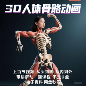 中医人体骨骼肌肉学习3D动态讲解演示视频自学零基础中医人体高考-淘宝虚拟仓