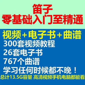 竹笛初学者曲谱入门课程笛零基础视频教学自零基础演奏电子版吹笛-淘宝虚拟仓